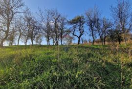 Gorski Kotar-Vrbovsko/građevinski teren, Vrbovsko, Terra