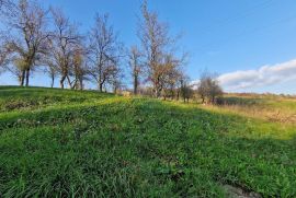 Gorski Kotar-Vrbovsko/građevinski teren, Vrbovsko, Tierra