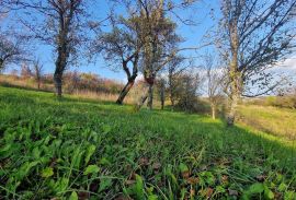 Gorski Kotar-Vrbovsko/građevinski teren, Vrbovsko, Tierra