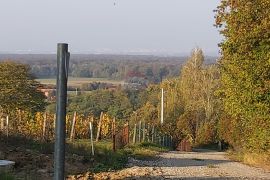 Zagreb, Donji Trpuci, poljoprivredno zemljište 1241 m2, Brezovica, Tierra