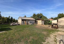 Višnjan - okolica, dvojna kuća sa puno potencijala, Višnjan, House