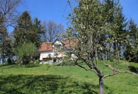 Sveta Nedelja, Svetonedeljski Breg,kuća s imanjem 5720m2, Sveta Nedelja, Casa