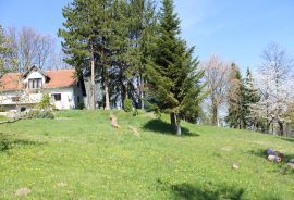 Sveta Nedelja, Svetonedeljski Breg,kuća s imanjem 5720m2, Sveta Nedelja, Casa