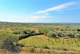 Istra,Vodnjan-Građevinsko zemljište panoramskog pogleda s građevinskom dozvolom, Vodnjan, Terrain