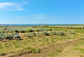 Istra,Vodnjan-Građevinsko zemljište panoramskog pogleda s građevinskom dozvolom, Vodnjan, Земля