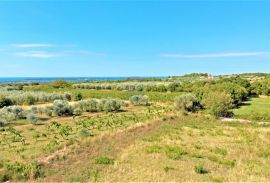 Istra,Vodnjan-Građevinsko zemljište panoramskog pogleda s građevinskom dozvolom, Vodnjan, Γη