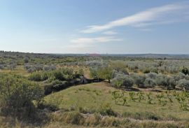 Istra,Vodnjan-Građevinsko zemljište s projektom i dozvolom za gradnju, Vodnjan, Terrain