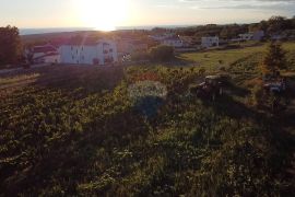 Istra, Kaštelir- Građevinsko zemljište sa pogledom na more, Kaštelir-Labinci, Land