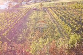 Istra, Kaštelir- Građevinsko zemljište sa pogledom na more, Kaštelir-Labinci, Земля