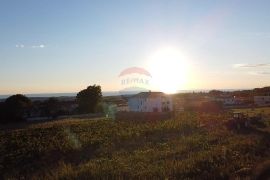 Istra, Kaštelir- Građevinsko zemljište sa pogledom na more, Kaštelir-Labinci, Land