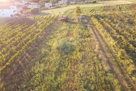 Istra, Kaštelir- Građevinsko zemljište sa pogledom na more, Kaštelir-Labinci, أرض