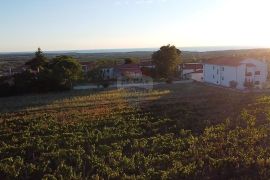 Istra, Kaštelir- Građevinsko zemljište sa pogledom na more, Kaštelir-Labinci, Земля