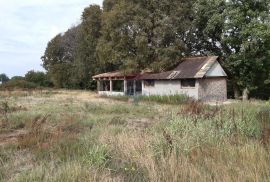 Istra, Poreč okolica- parcela sa legaliziranom kućom od 25m2 i pomoćnim objektom 26m2, Poreč, Terreno