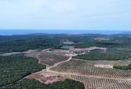 Istra - Bale - zemljište sa ucrtanom kućom, Bale, Terreno