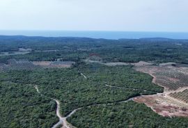 Istra - Bale - zemljište sa ucrtanom kućom, Bale, Terreno