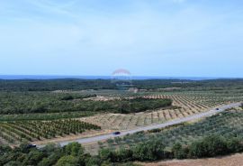 Istra - Bale - zemljište sa ucrtanom kućom, Bale, Terreno