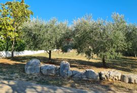 Poreč okolica: Dvije kuće s divnom okućnicom, pogled more, Poreč, بيت