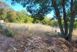 Istra, Marčana okolica, nova kuća sa 5500m2 građevinskog zemljišta, Marčana, Kuća