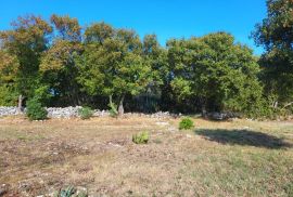 Istra, Marčana okolica, nova kuća sa 5500m2 građevinskog zemljišta, Marčana, Haus