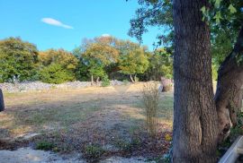 Istra, Marčana okolica, nova kuća sa 5500m2 građevinskog zemljišta, Marčana, Σπίτι