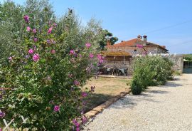 Poreč okolica: Autohtona kamena kuća na brežuljku, Poreč, House