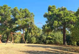 Poreč okolica: Autohtona kamena kuća na brežuljku, Poreč, House