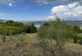 Pazin - okolica, građevinsko zemljište sa pogledom na Butonigu, Pazin - Okolica, Land