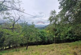 Gorski Kotar - Vrbovsko / kuća sa velikom okućnicom, Vrbovsko, Casa