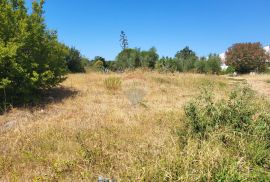 Istra, Barbariga, građevinsko zemljište sa pogledom na more, Vodnjan, Land