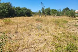 Istra, Barbariga, građevinsko zemljište sa pogledom na more, Vodnjan, Terrain