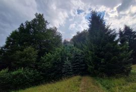 Poljoprivredno zemljište 9970 m2 blizina Delnica, Delnice, Arazi