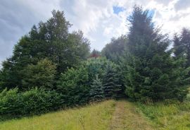 Poljoprivredno zemljište 9970 m2 blizina Delnica, Delnice, Arazi