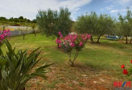 Istra, Vrsar okolica, kuća s pogledom na more, Vrsar, Casa