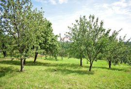 Gornja Dubrava, Granešina - 2 građevinske parcele, 3087 m2, Gornja Dubrava, Tierra