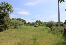 ISTRA, SAVIČENTA SAMOSTOJEĆA KUĆA NA VELIKOJ OKUĆNICI, Vodnjan, Maison