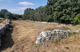 SV. PETAR U ŠUMI - Prekrasna oranica omeđena suhozidom, Sveti Petar U Šumi, Terreno