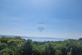 Veprinac-starina za adaptaciju, Opatija - Okolica, Kuća