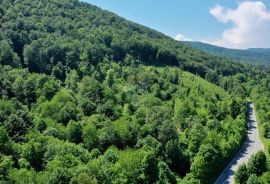 Lukovdol - poljoprivredni teren, šuma 8254 m2, Vrbovsko, Земля