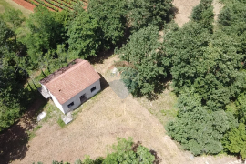 Istra, Višnjan - Samostojeća kuća sa 4900 m2 okućnice, Višnjan, بيت