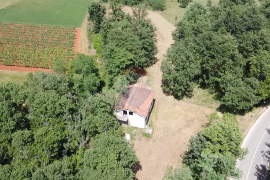 Istra, Višnjan - Samostojeća kuća sa 4900 m2 okućnice, Višnjan, Haus