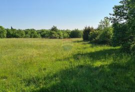 Poljoprivredno zemljište + ruševina 15438 m2 , Marčana, Marčana, Land