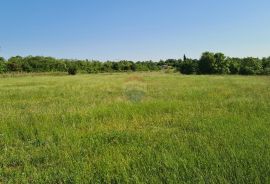 Poljoprivredno zemljište + ruševina 15438 m2 , Marčana, Marčana, Land