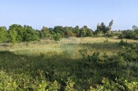 Istra, Marčana- 1 hektar poljoprivrednog zemljišta, Marčana, Tierra