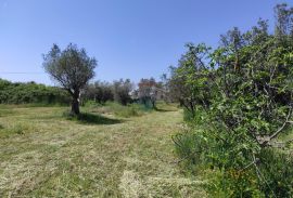 Istra,Fažana - legalizirana kuća 70m2 na okućnici od 3500m2, Fažana, House