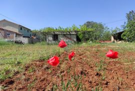 Istra,Fažana - legalizirana kuća 70m2 na okućnici od 3500m2, Fažana, Haus