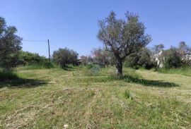 Istra,Fažana - legalizirana kuća 70m2 na okućnici od 3500m2, Fažana, House