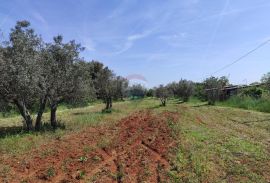 Istra,Fažana - legalizirana kuća 70m2 na okućnici od 3500m2, Fažana, Casa