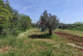 Istra,Fažana - legalizirana kuća 70m2 na okućnici od 3500m2, Fažana, Maison