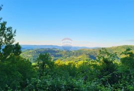 Istra, kuće za obnovu u okolici Motovuna, Motovun, Σπίτι