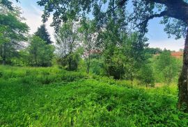 Lukovdol - autohtona kuća, Vrbovsko, Casa